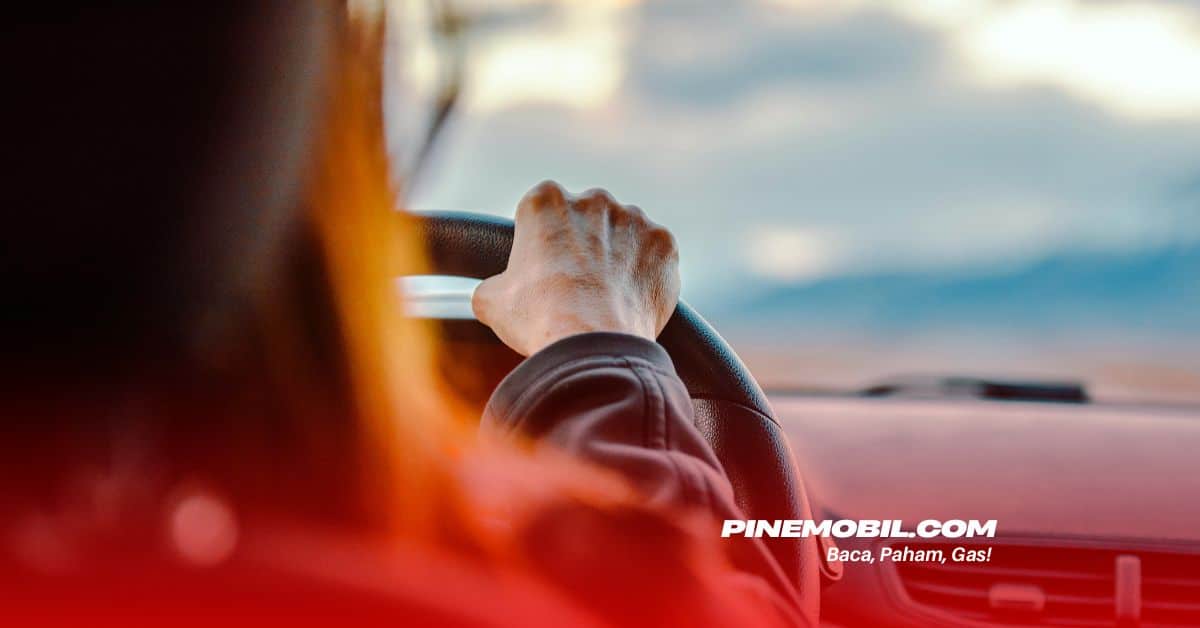 pinemobil.com 6