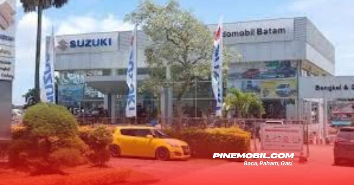 pinemobil.com 11