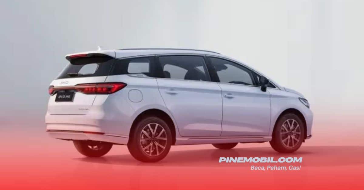 pinemobil.com 13
