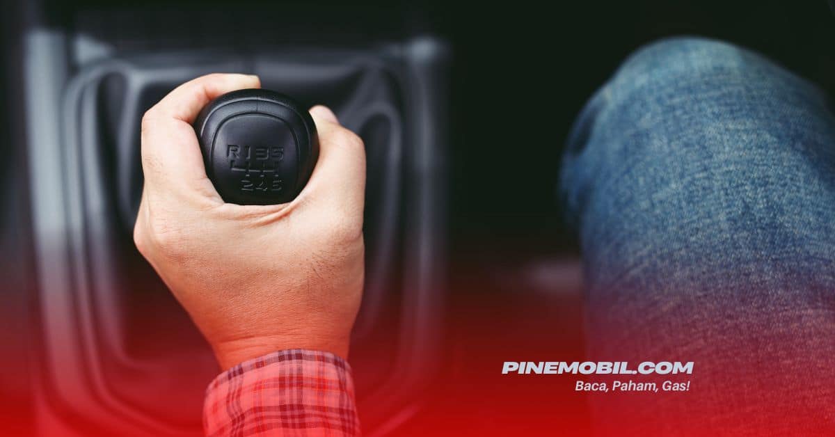 pinemobil.com 14