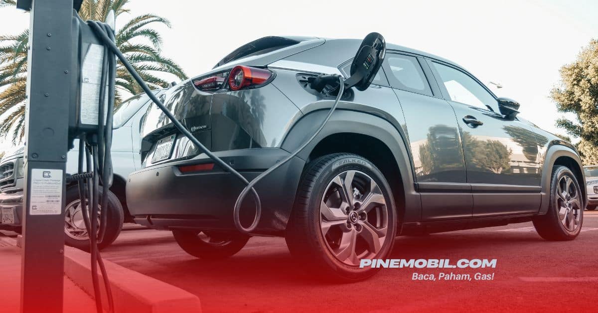 pinemobil.com 1
