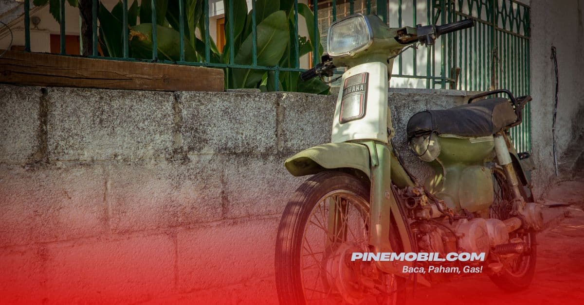 pinemobil.com 13
