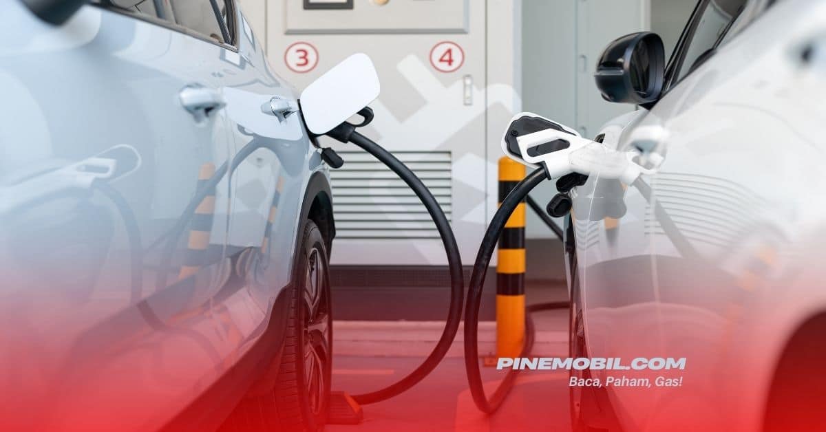 pinemobil.com 18