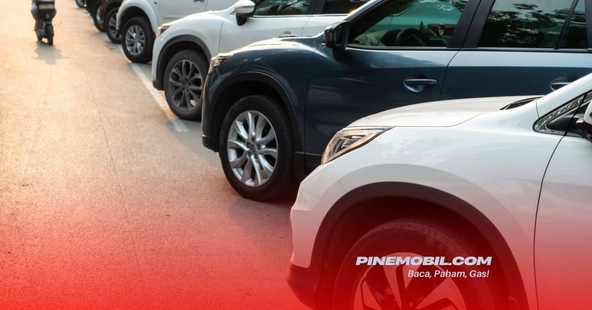 pinemobil.com 19