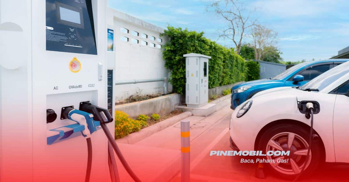 pinemobil.com 4