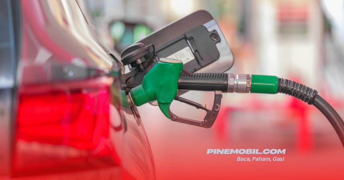 pinemobil.com 5